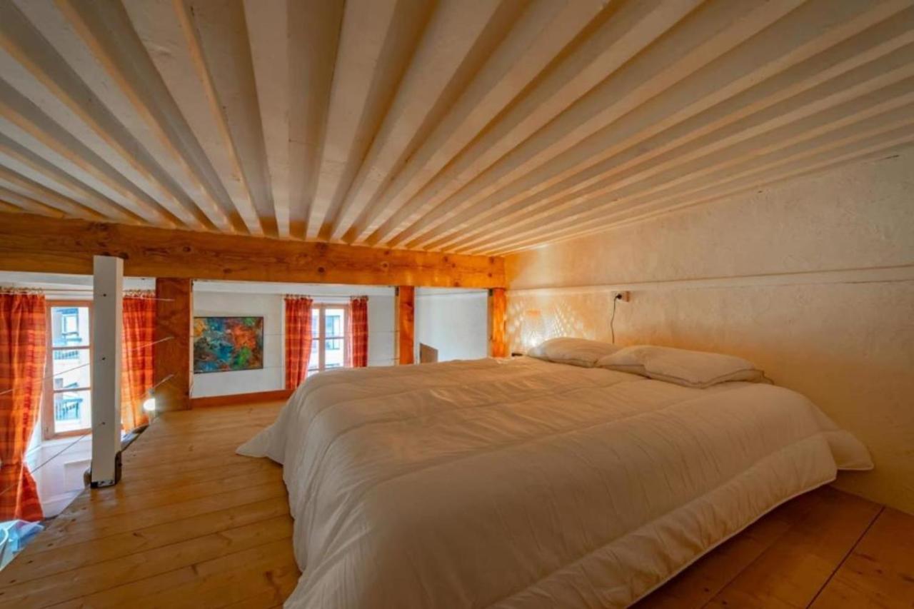 Apartment Classified 2 Stars In The Heart Of The Historic Center Of Annecy Eksteriør bilde